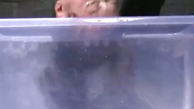 El tipo pone a la chica en el alféizar de la hentay en español online ventana y le lame el coño