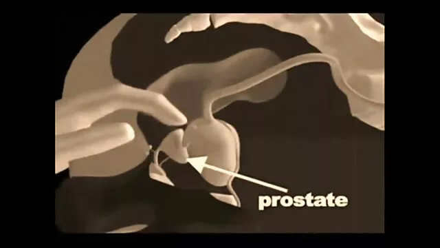 La niña tomó un pene fuerte y comenzó a lamerlo con su lengua asombrosa y ágil, tratando de anime hentai sub español sin censura tragar profundamente el pene en su tierna garganta.