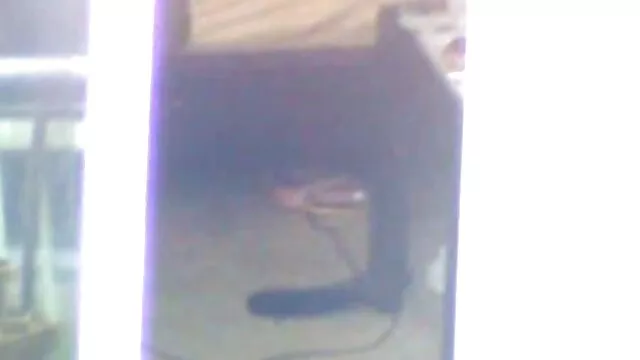 Nigga cum saliendo de pokemon hentai manga español mi culo